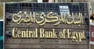 تنظيم قطاع التمويل الاستهلاكي في مصر