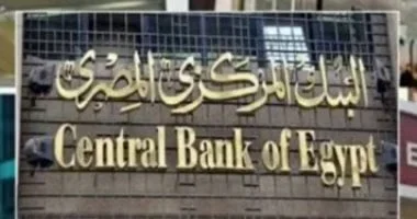 تنظيم قطاع التمويل الاستهلاكي في مصر