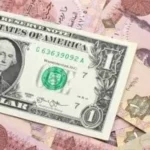 استقرار سعر صرف الدولار أمام الجنيه المصري اليوم