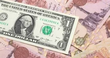استقرار سعر صرف الدولار أمام الجنيه المصري اليوم