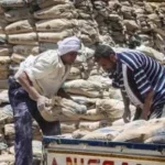 استقرار أسعار الأسمنت في السوق المحلية اليوم