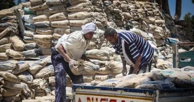استقرار أسعار الأسمنت في السوق المحلية اليوم