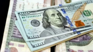 استقرار سعر الدولار أمام الجنيه المصري
