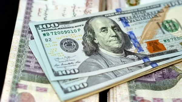 استقرار سعر الدولار أمام الجنيه المصري