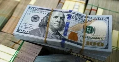 استقرار سعر الدولار مقابل الجنيه اليوم