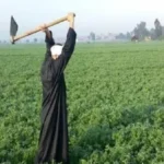 صادرات مصر الزراعية تصل إلى 10 ملايين طن