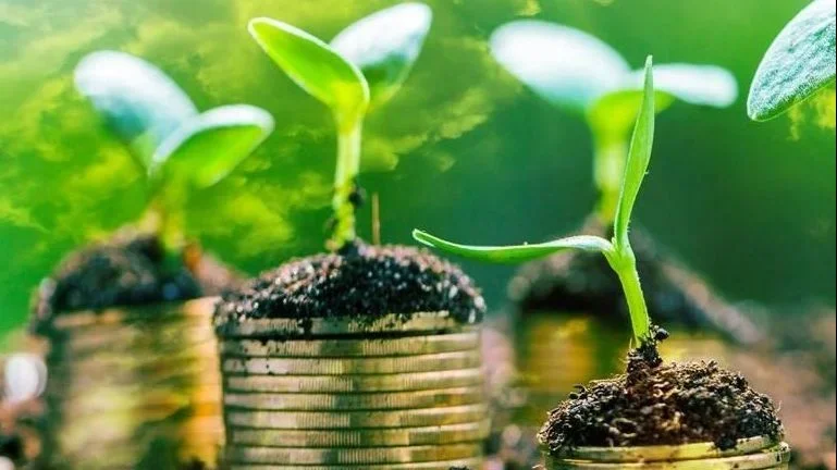 المبادرة الإلكترونية تعزز الاقتصاد الأخضر في مصر