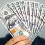استقرار سعر الدولار أمام الجنيه المصري اليوم