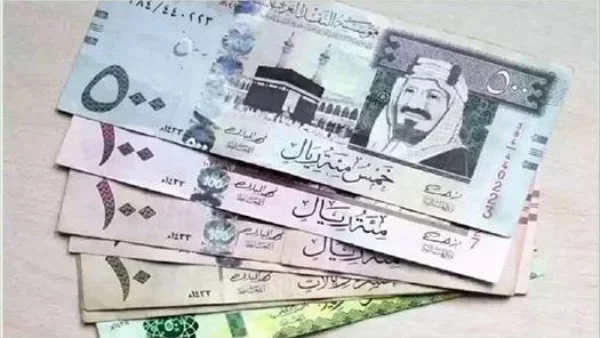 أسعار العملات العربية 30 يونيو 2026