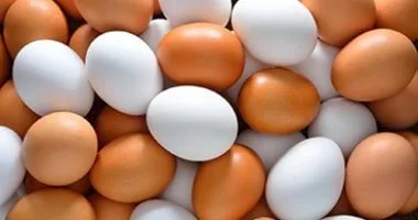 استقرار أسعار بيض المائدة في الأسواق المصرية