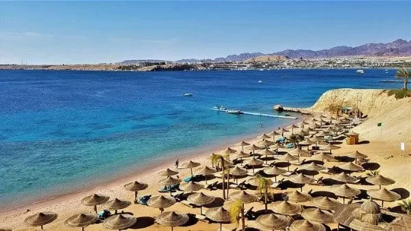 تطوير الغردقة: استثمار يعزز السياحة والاقتصاد