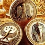 تعزيز التعاون الاقتصادي المصري الروسي