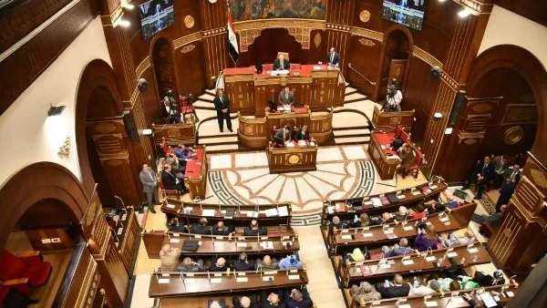 أهمية التعليم والثقافة في خطة التنمية الجديدة