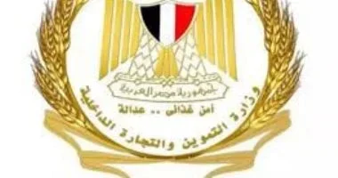 تطبيق نظام الوثائق المؤمنة لتطوير السجل التجاري في مصر