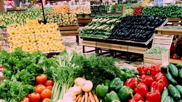 نجاح مشروع «كاري أون» بمبادرة وزارة الزراعة