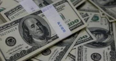 استقرار الدولار مقابل الجنيه المصري