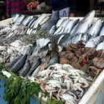 أسعار السمك والجمبري بسوق العبور اليوم