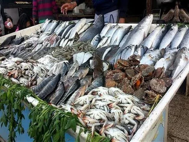 أسعار السمك والجمبري بسوق العبور اليوم