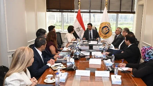 استثمارات صينية في صناعة السيارات بمصر