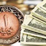 استقرار سعر الدولار أمام الجنيه المصري