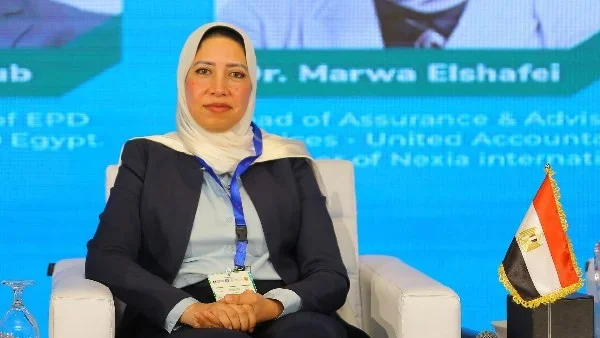 تثبيت البنك المركزي المصري لسعر الفائدة: قرار حكيم