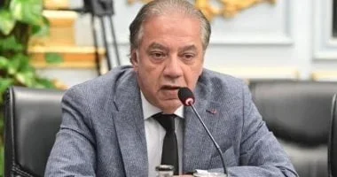 شريف الجبلي نائبًا لرئيس مجلس أعمال الكوميسا