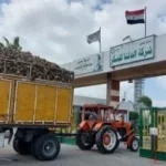 انخفاض أرباح “الدلتا للسكر” بسبب ضعف السيولة والمعروض