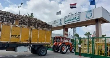 انخفاض أرباح "الدلتا للسكر" بسبب ضعف السيولة والمعروض