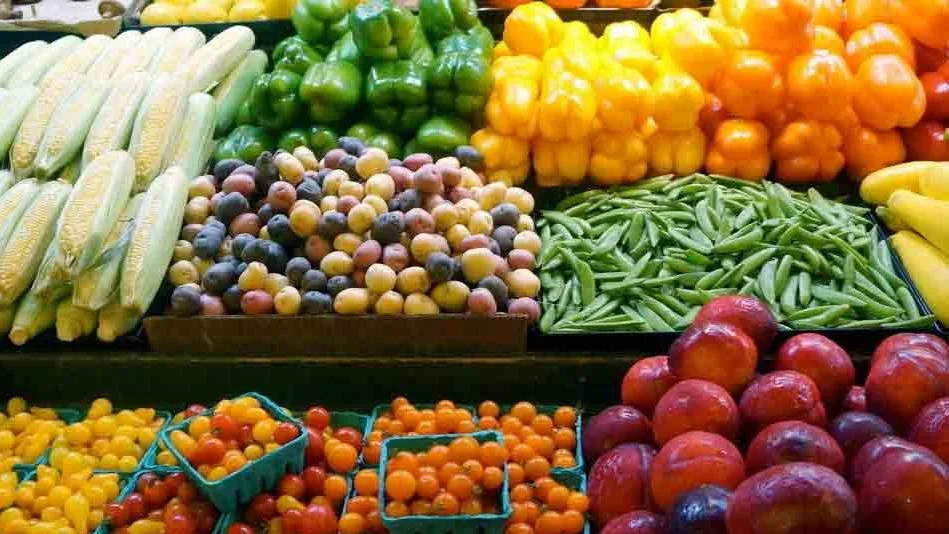 إنجازات ملحوظة في الصادرات الزراعية المصرية