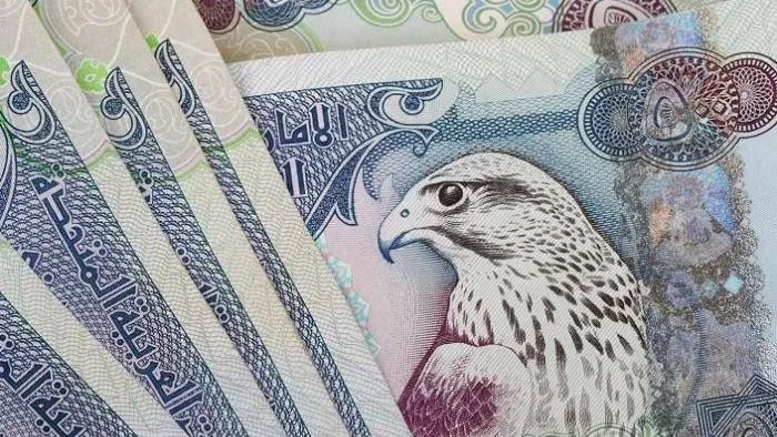 سعر الدرهم الإماراتي مقابل الجنيه المصري اليوم