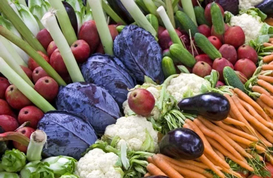 استقرار أسعار الخضراوات والفاكهة في الإسكندرية