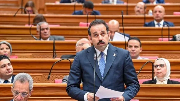 قانون "مستقبل مصر" يعزز شراكة القطاع الخاص