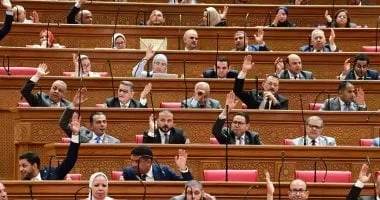 مجلس النواب يقر مواد جديدة لتنظيم العمل بالصندوق السيادي