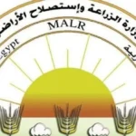 خطة لتسويق تقاوي البطاطس المصرية محليًا