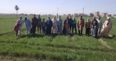 خطة الدولة لتعزيز الأمن الغذائي من خلال الزراعة