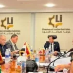 تحديث المواصفات القياسية لقطاع الأحذية في مصر