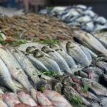 استقرار أسعار السمك في مصر اليوم