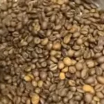 حقيقة غش البن في مصر