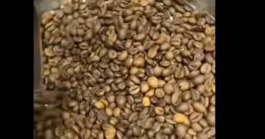 حقيقة غش البن في مصر