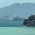 الاستثمار في نايك وأستي لودر: فرص واعدة رغم الظروف الحالية