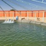 البرلمان يطالب الحكومة بدراسات جدوى استثمارية دقيقة