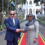 تعزيز التعاون الاقتصادي بين مصر وتنزانيا