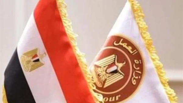 فرص عمل في قطاع الأغذية براتب يصل 9700 جنيه