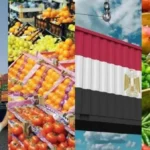 تطورات إيجابية في صادرات الزراعة المصرية