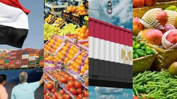 تطورات إيجابية في صادرات الزراعة المصرية