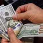 استقرار سعر الدولار أمام الجنيه المصري اليوم