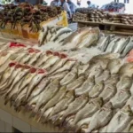 تباين أسعار الأسماك في مصر: ارتفاع البلطي وتراجع الجمبري