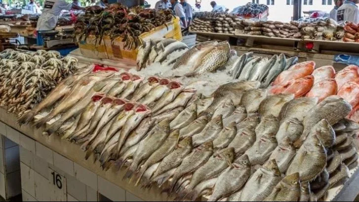 تباين أسعار الأسماك في مصر: ارتفاع البلطي وتراجع الجمبري