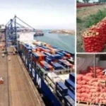 نشاط ملحوظ في صادرات مصر الغذائية