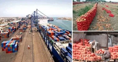 نشاط ملحوظ في صادرات مصر الغذائية
